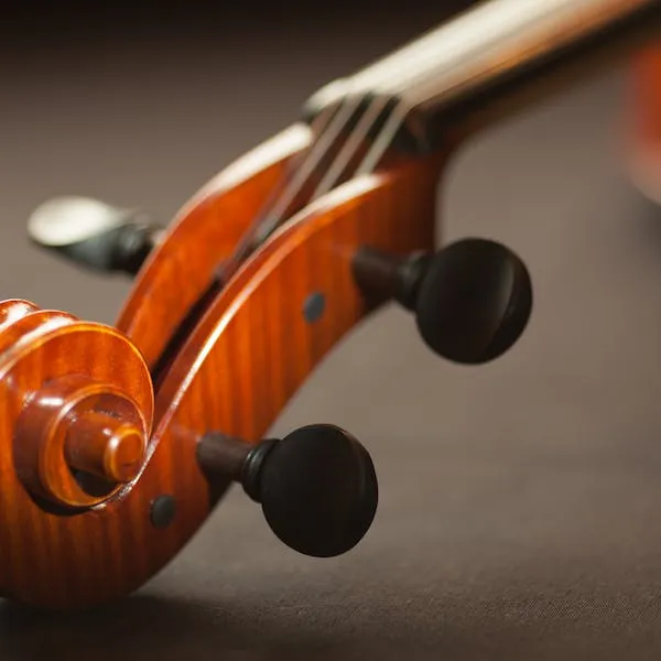 A origem do violino