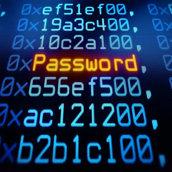 O que significa password